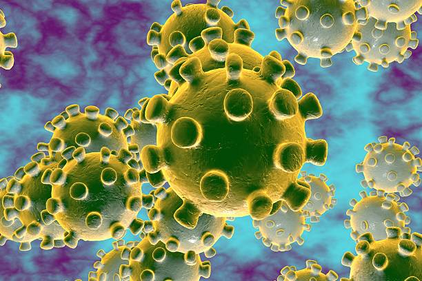 coronavirus quiz - cdc vaccine information sheet hepatitis a